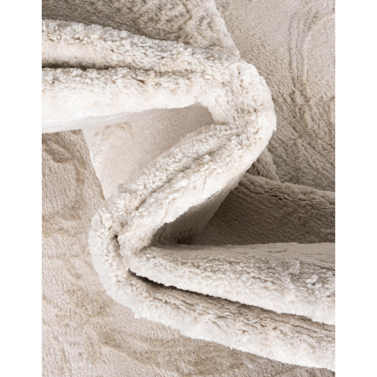 Senter Floral Indoor Rug